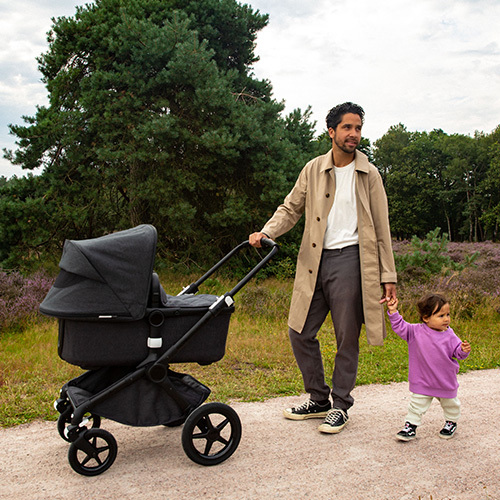 Bugaboo Mineral Collection