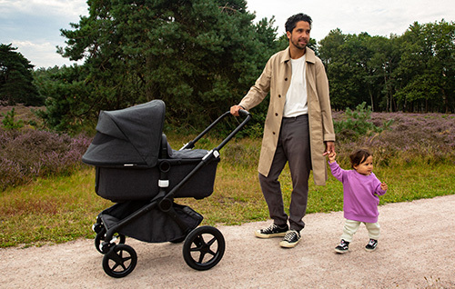 Bugaboo Mineral Collection