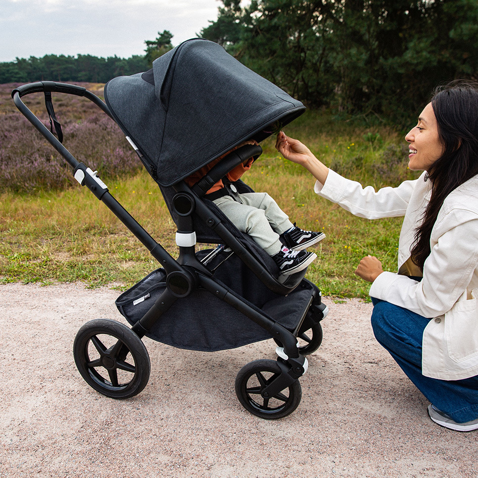 Bugaboo Mineral Collection