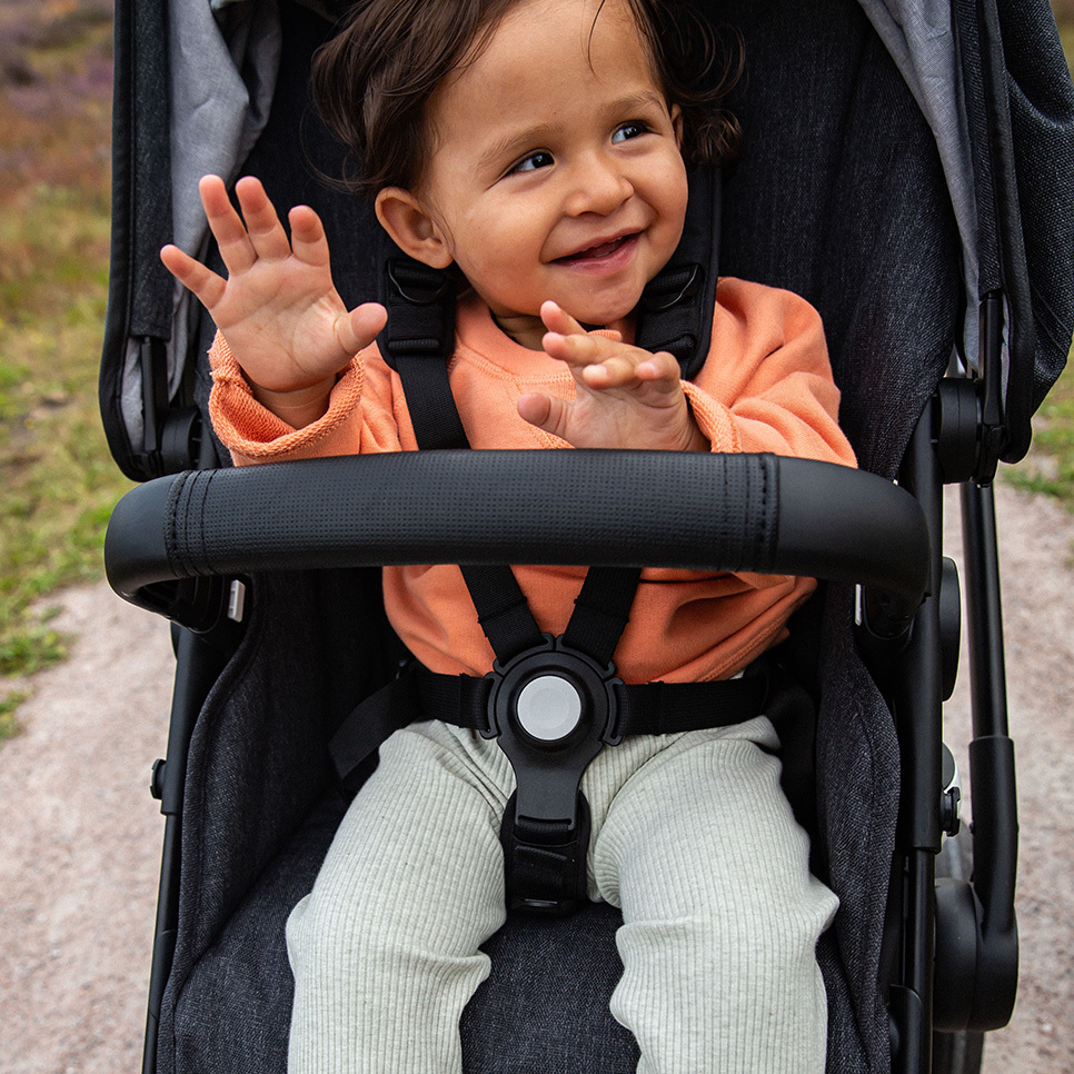 Bugaboo Mineral Collection