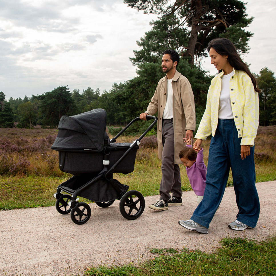 Bugaboo Mineral Collection